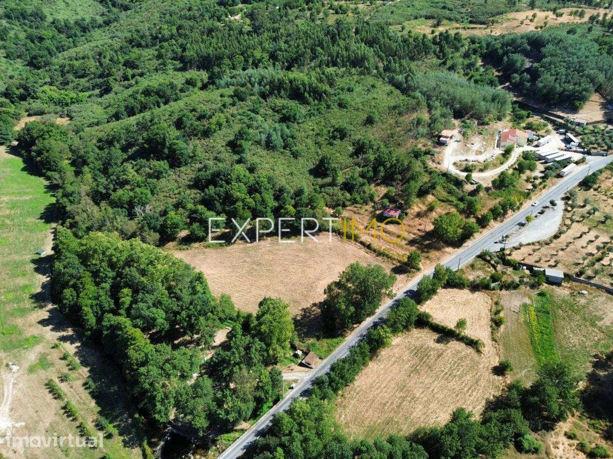 Quinta Mista de 4,8 Hectares com Edificação Urbana, Moinho... - Grande imagem: 4/34