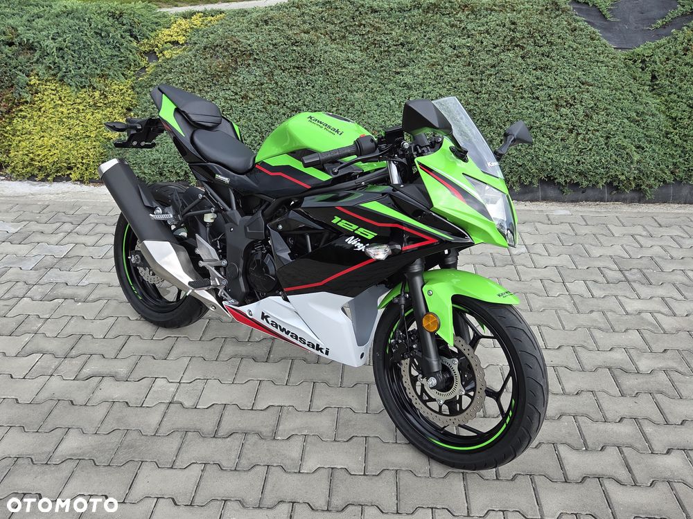 Kawasaki Ninja - 21