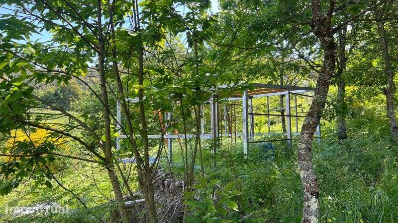 TERRENO 3.000 m² | Sao Mamede de  NEGRELOS – Santo Tirso - Grande imagem: 3/6