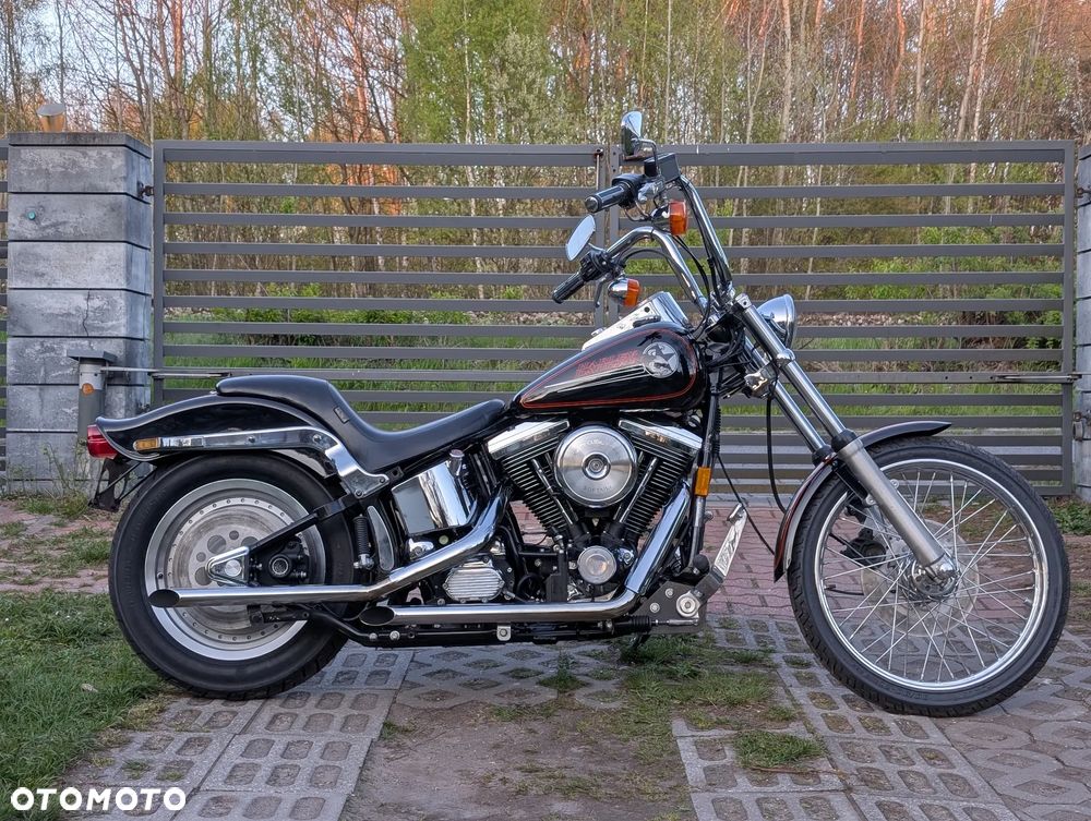 Harley-Davidson Softail Standard - 1