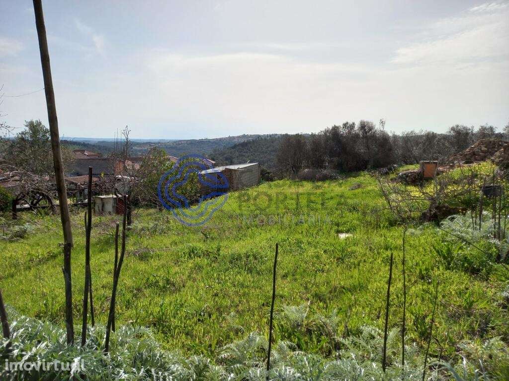Terreno com Ruína próximo da Cidade de Tomar no Centro de Portugal - Grande imagem: 2/40