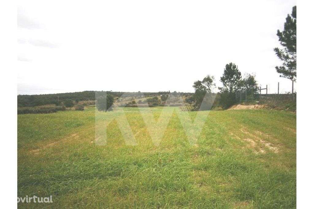 Terreno| 8 600 m2|perto da A1 Cartaxo|perto zona Industrial - Grande imagem: 5/7