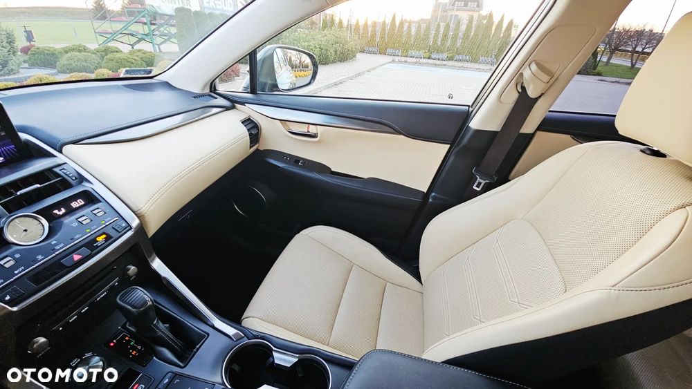 Lexus NX 300 Comfort AWD - 24