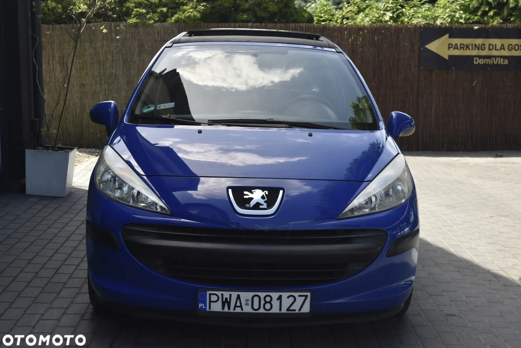 Peugeot 207 75 forever - 3