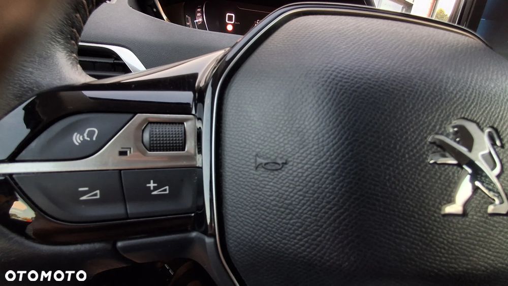 Peugeot 3008 - 18