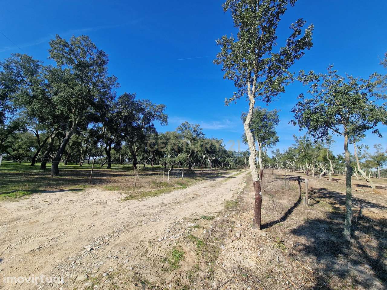 Monte c/cerca de 27h, em Abela, Santiago do Cacém - Grande imagem: 4/12