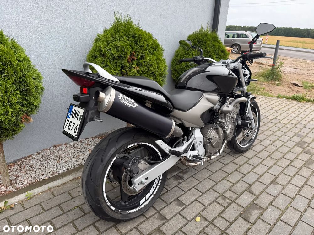 Honda Hornet - 26