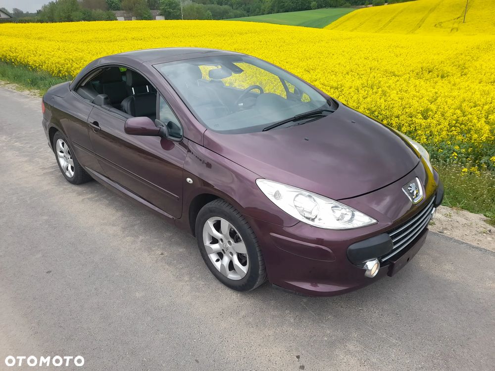 Peugeot 307 CC - 10