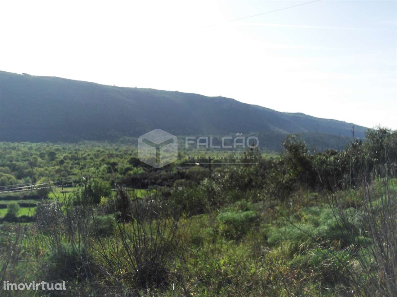 Terreno  Venda em Mira de Aire,Porto de Mós - Grande imagem: 5/12