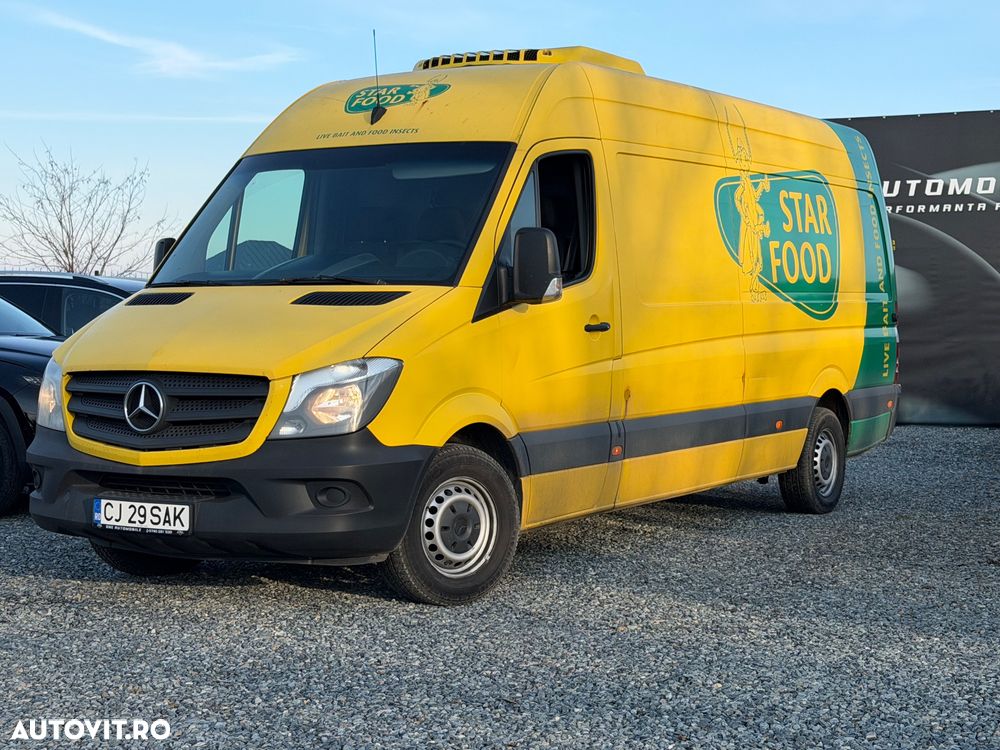 Mercedes-Benz Sprinter 313 CDI (BlueTec) 906.231 BlueEFFICIENCY - 1