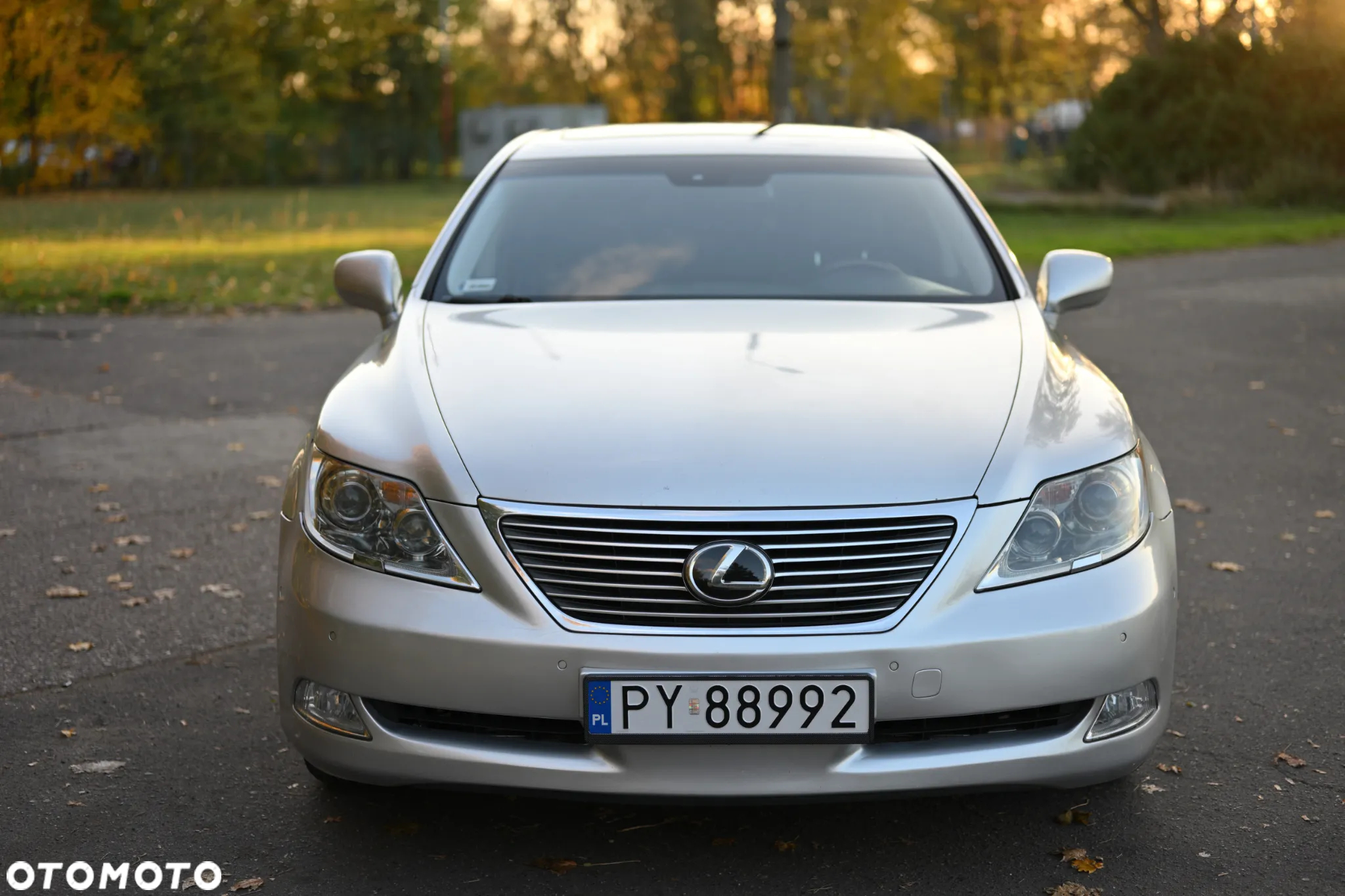 Lexus LS 460 Dynamic Line + Impression Line - 17