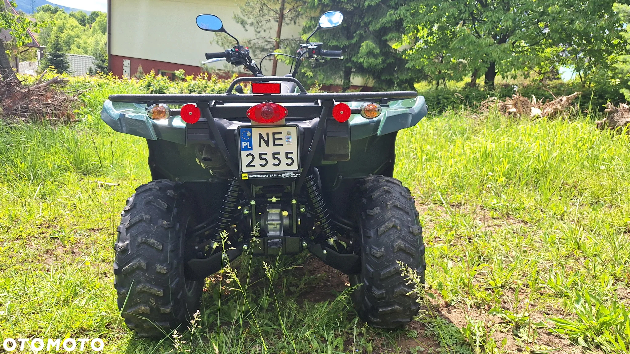 Yamaha Grizzly - 7