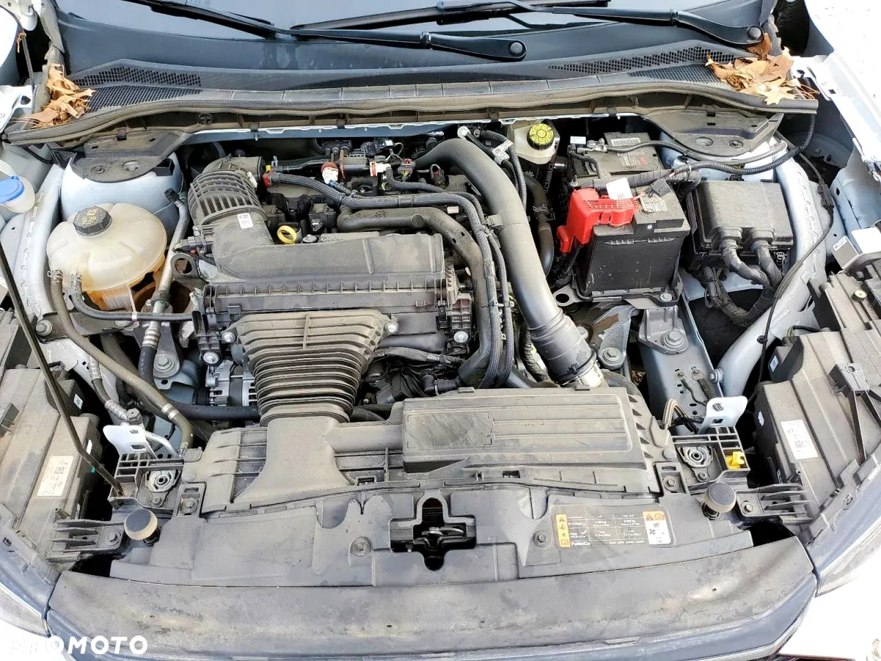 Ford Escape - 13