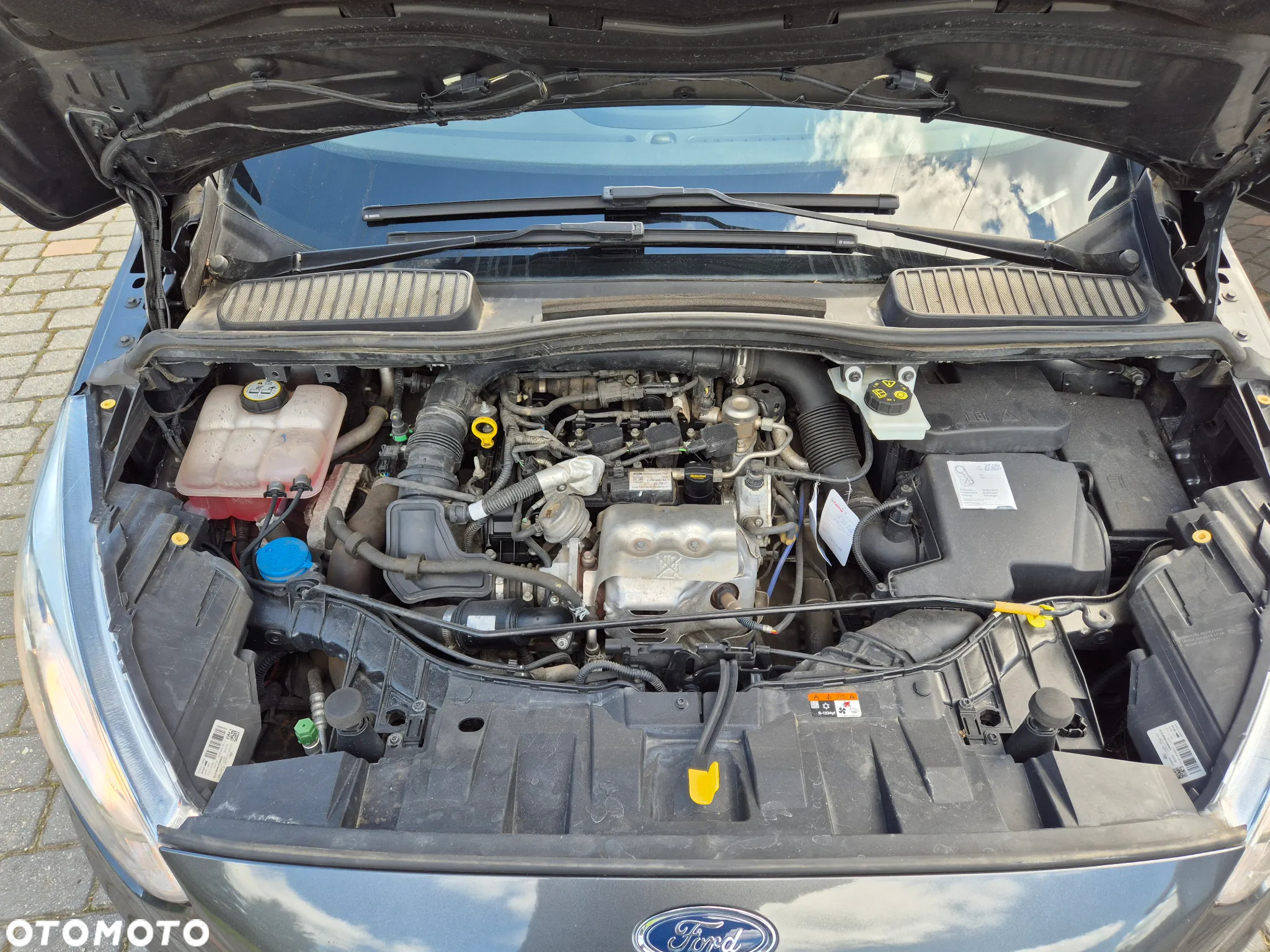Ford C-MAX 1.0 EcoBoost Titanium ASS - 26