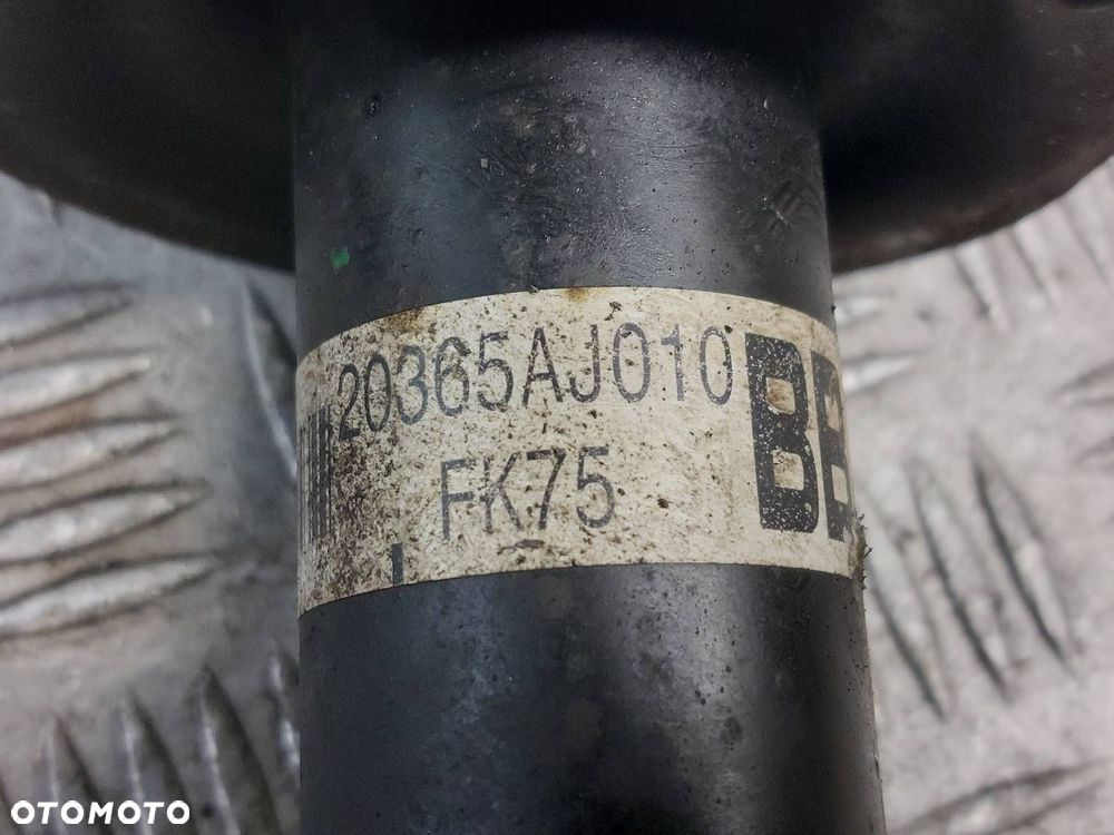 AMORTYZATOR + SPRĘŻYNA PRAWY TYŁ SUBARU LEGACY V KOMBI 20365AJ010 - 2