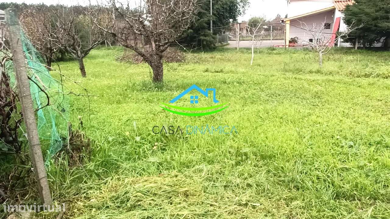 Terreno para Construção em Soure – Coimbra - Grande imagem: 3/12