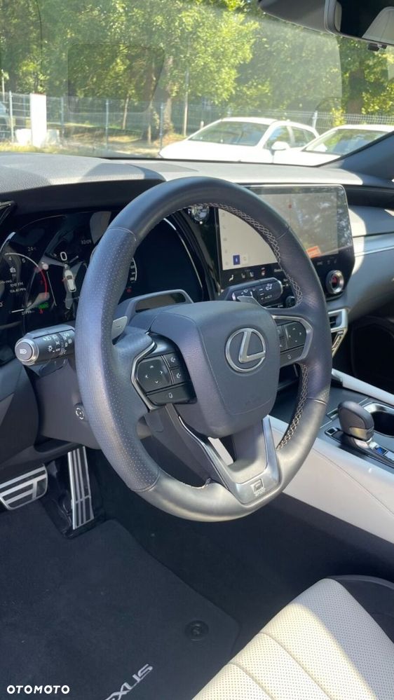 Lexus RX - 18
