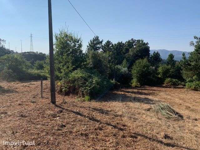 Quinta do Barreiro com 2 Casas para Recuperar - Grande imagem: 3/25