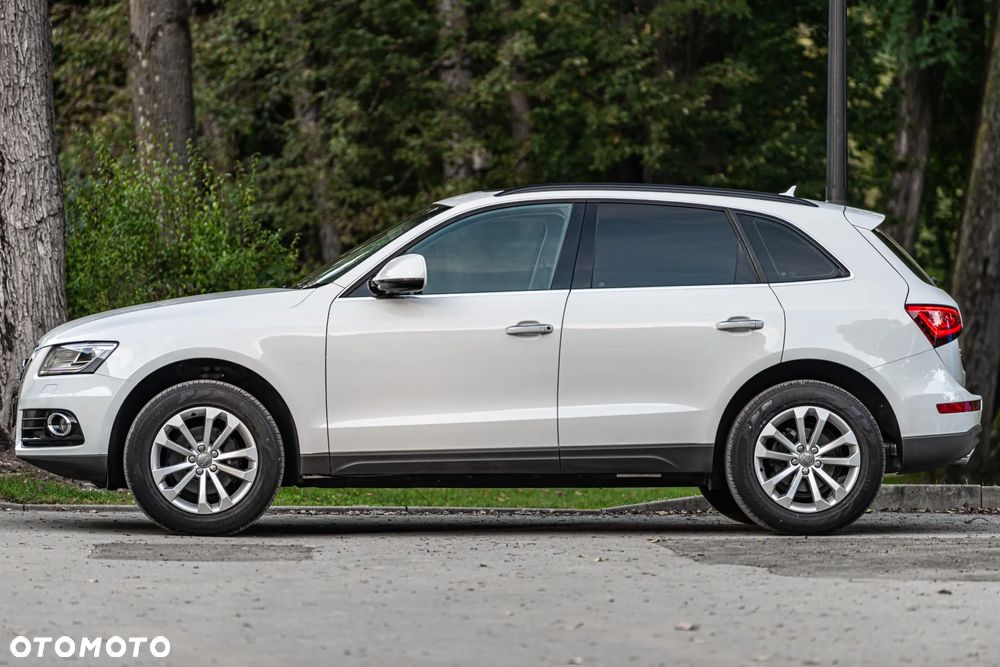 Audi Q5 2.0 TDI quattro (clean diesel) - 15