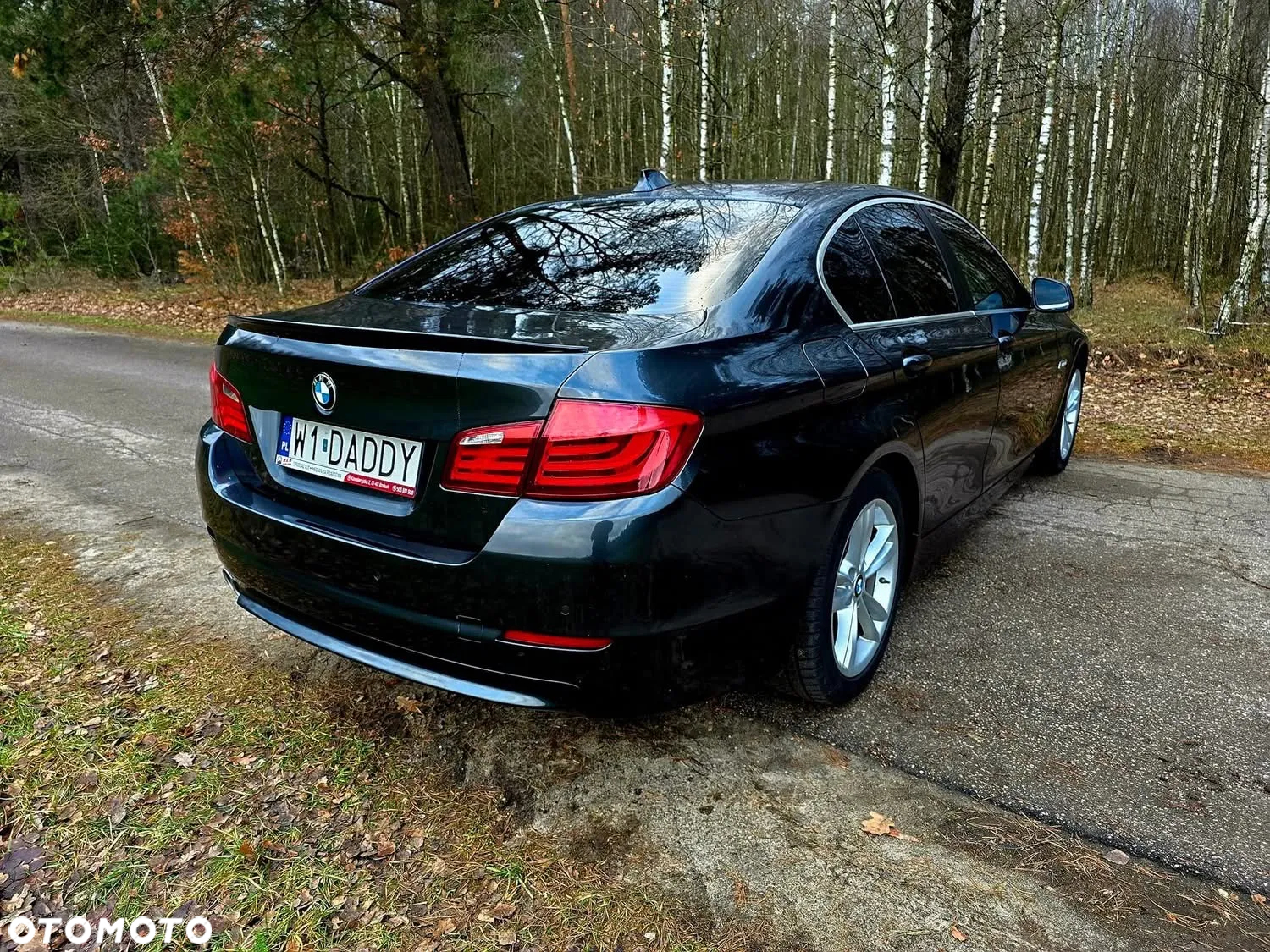BMW Seria 5 - 11
