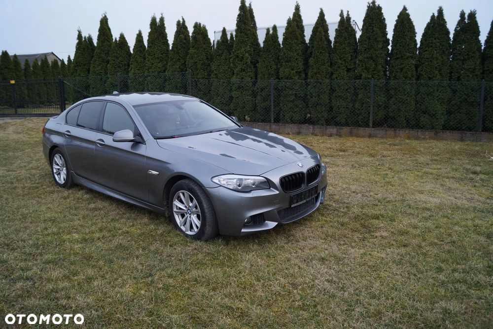 BMW Seria 5 520d - 30