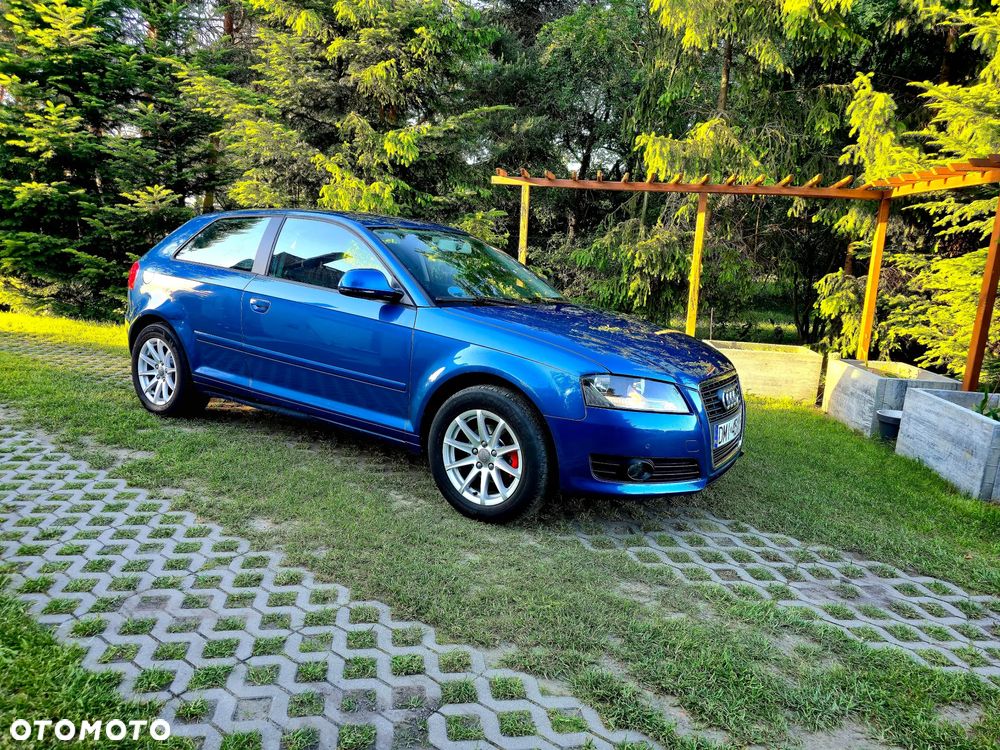 Audi A3 3-drzwiowe 1.6 FSI Ambition - 8