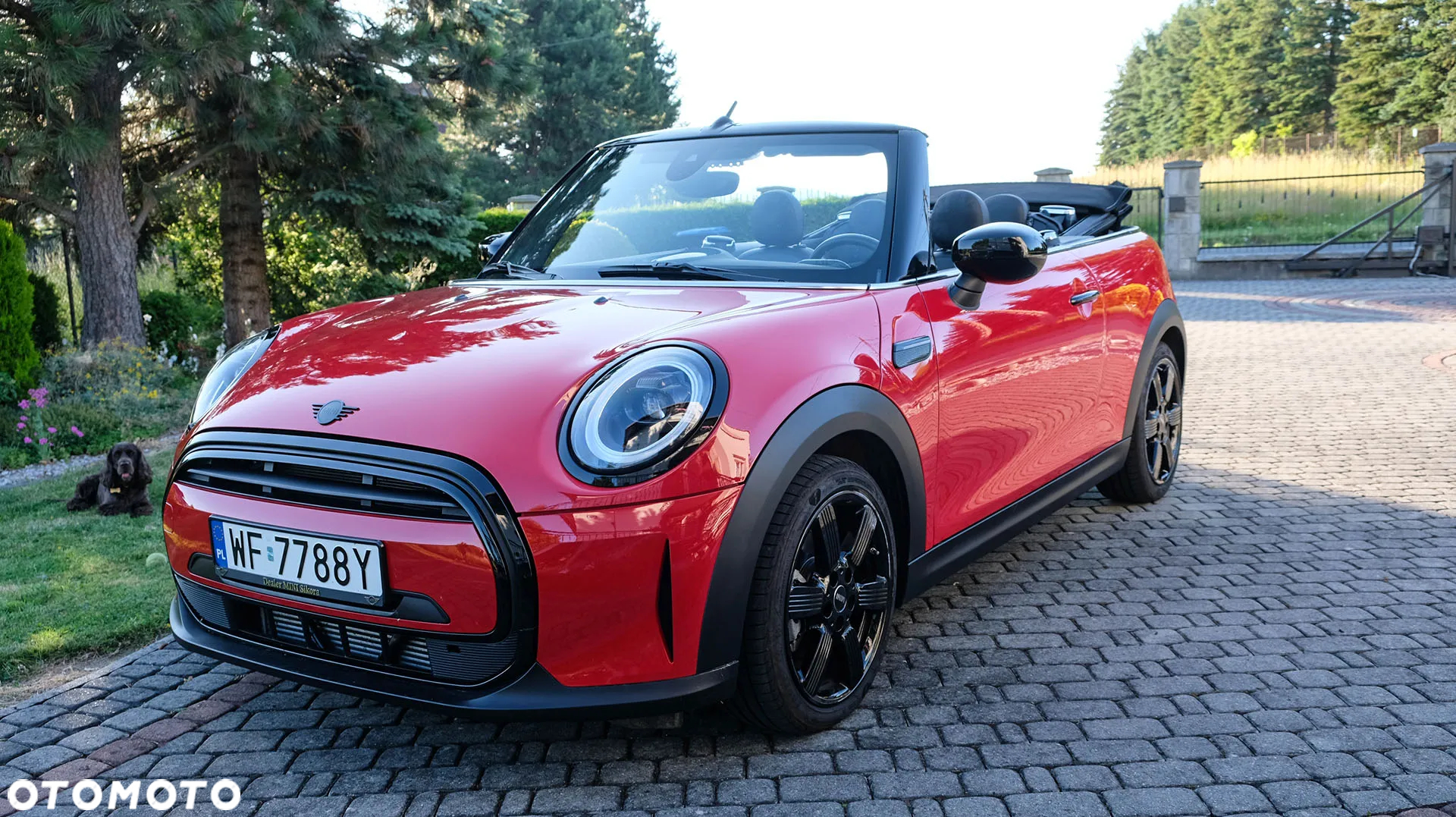 MINI Cooper Classic Trim - 2