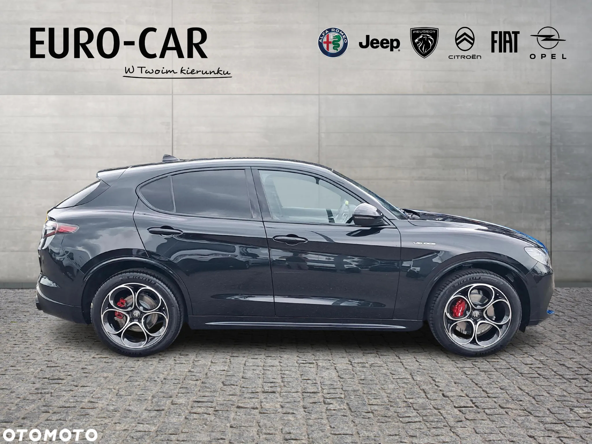 Alfa Romeo Stelvio 2.0 Turbo Veloce Q4 - 6