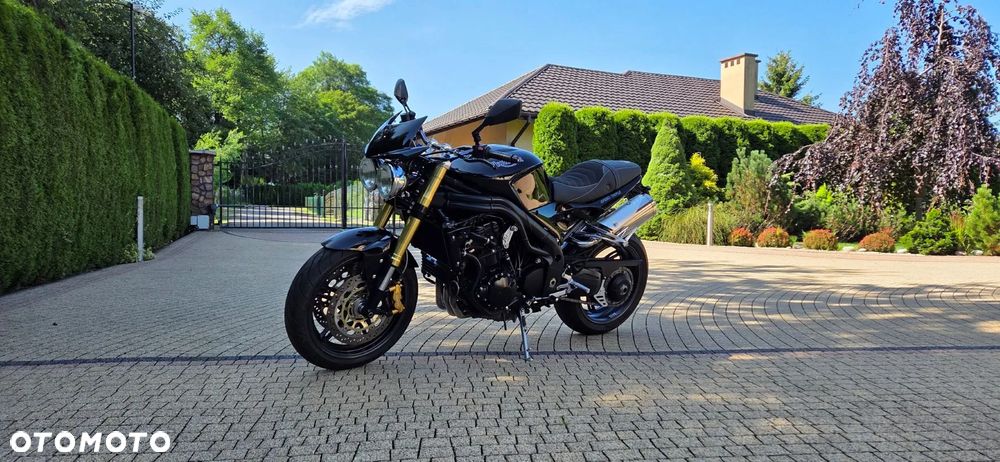 Triumph Speed Triple - 10