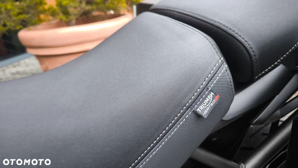 Triumph Tiger - 37