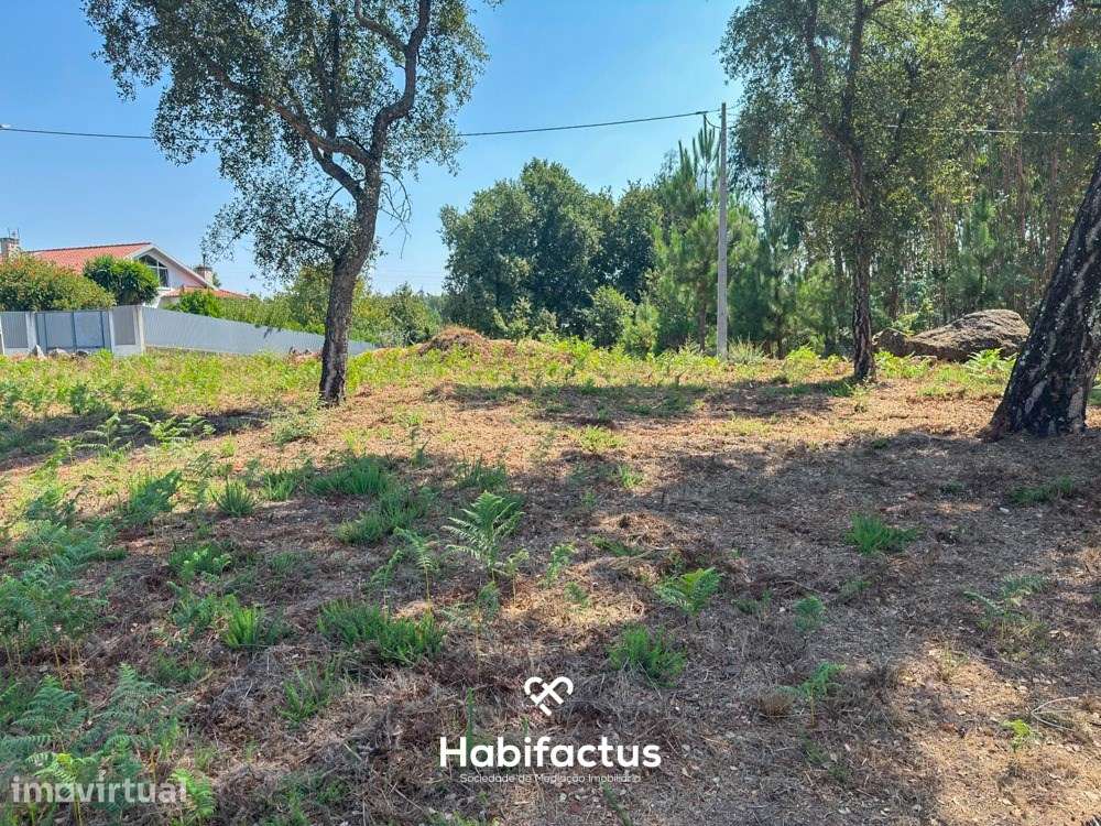 Terreno com a área de 7330m2 - Tondela - Grande imagem: 4/9