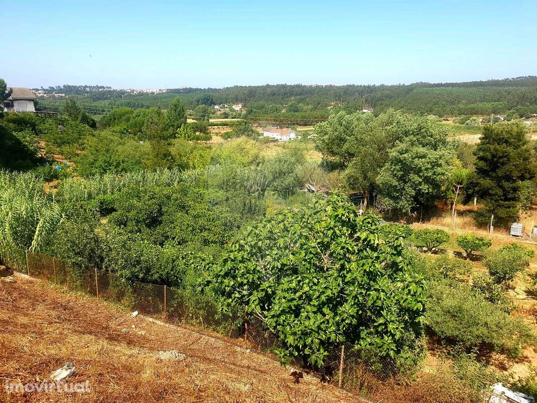 Terreno  para venda - Grande imagem: 3/5