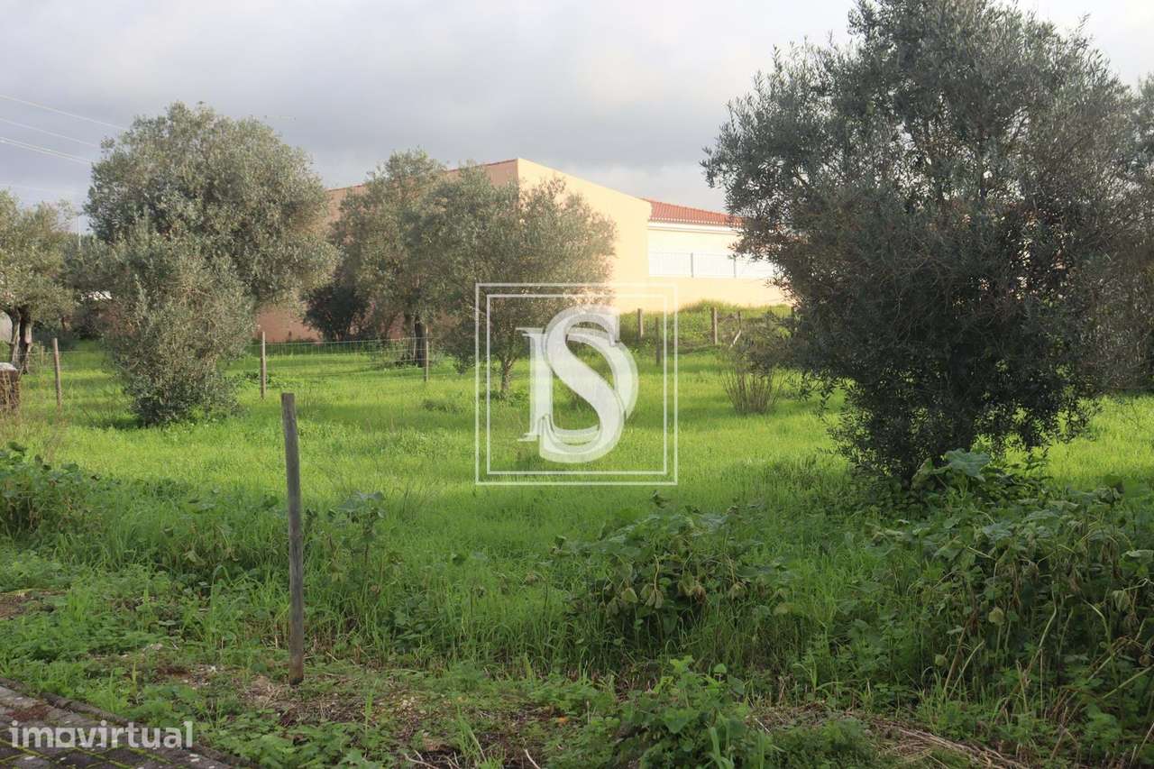 Lote para Construção - Montalvo - Grande imagem: 4/7