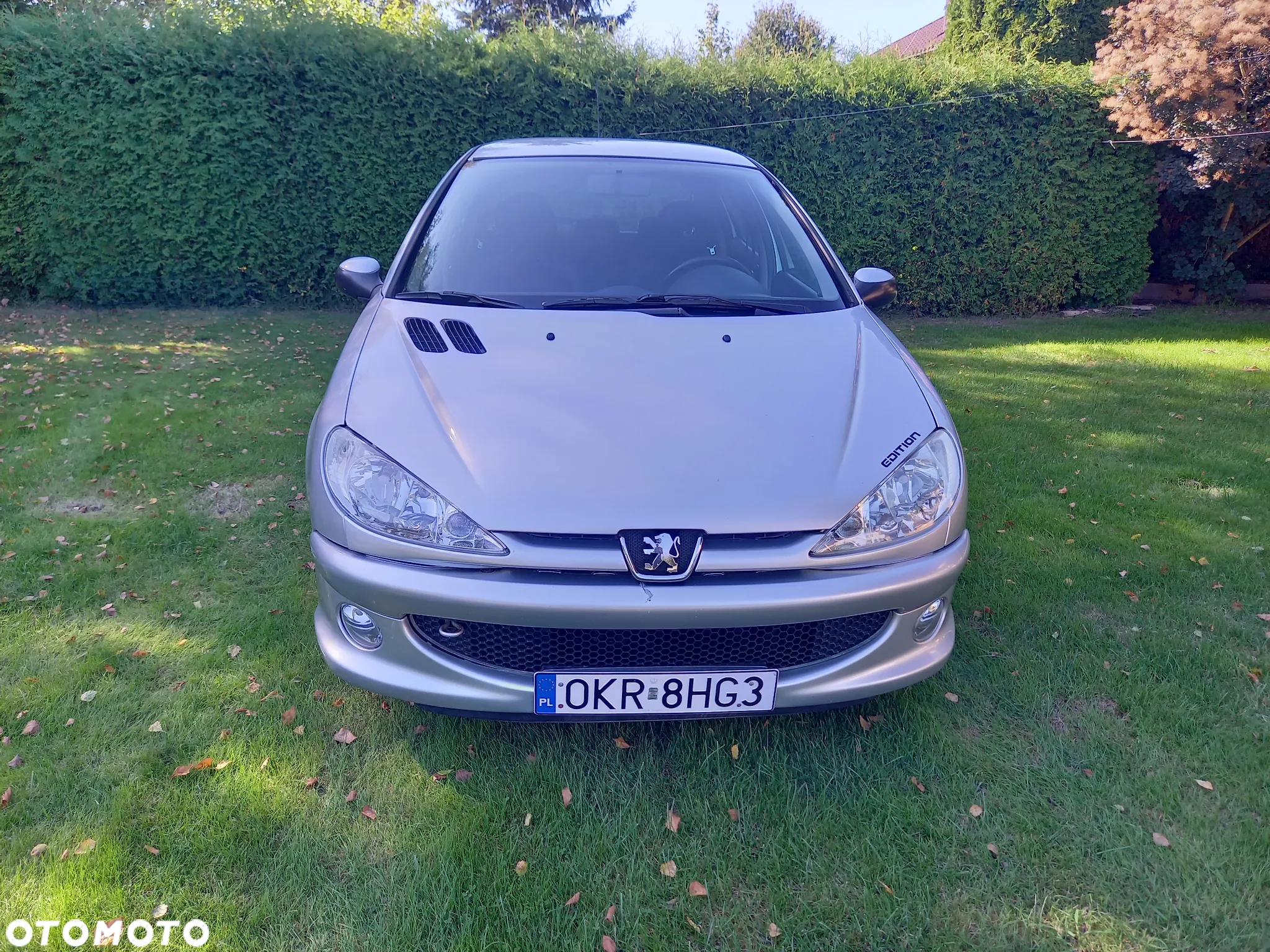 Peugeot 206 - 3