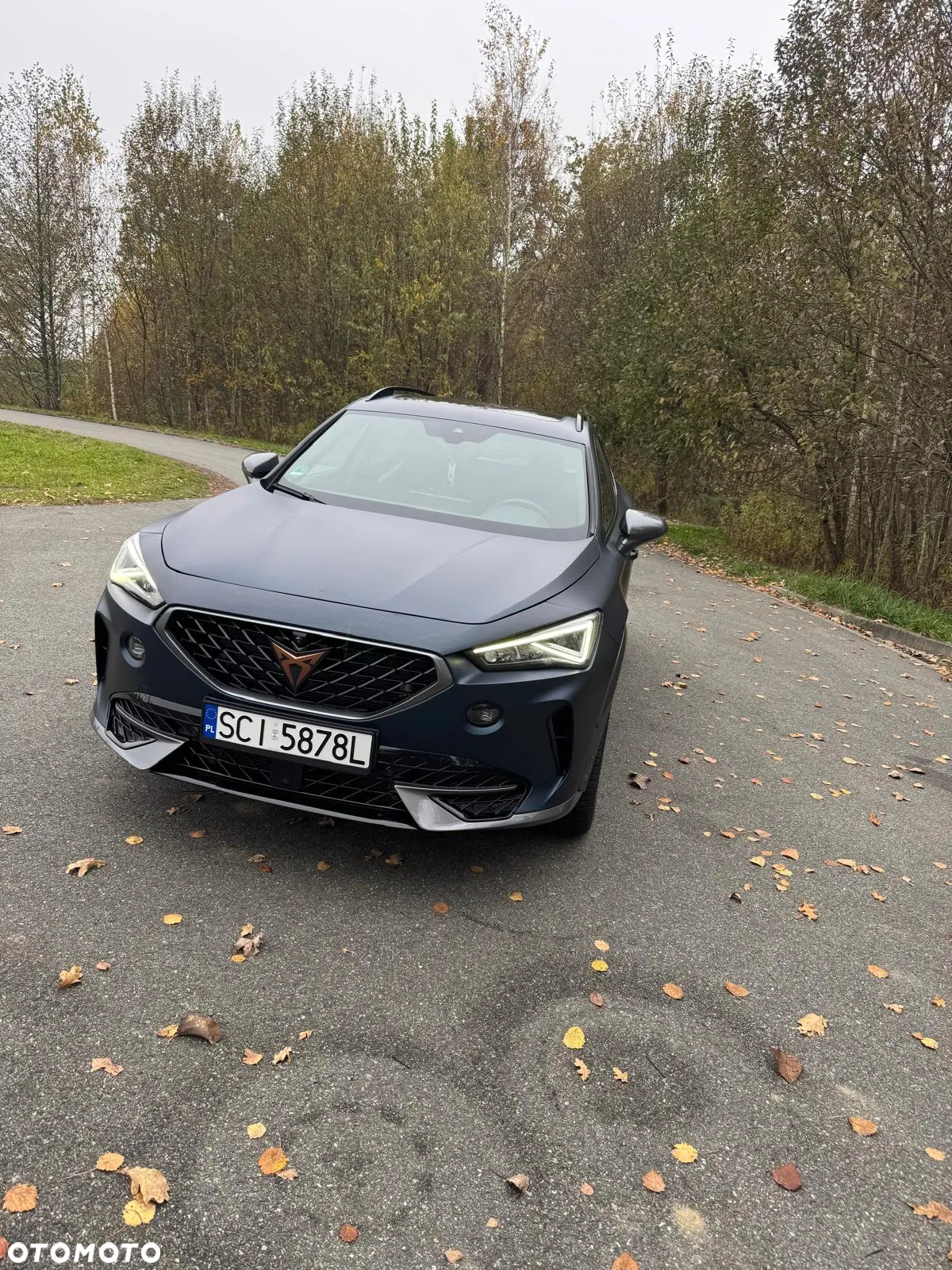 Cupra Formentor VZ 1.4 e-Hybrid DSG - 2