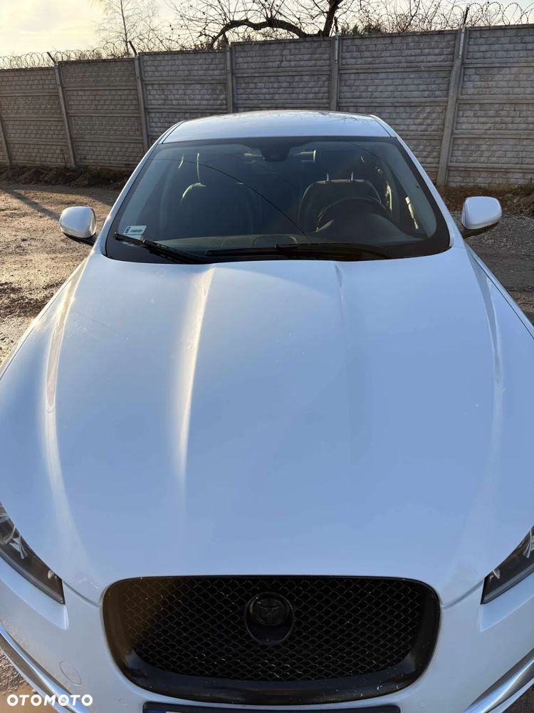 Jaguar XF 2.2 D Premium Luxury - 5