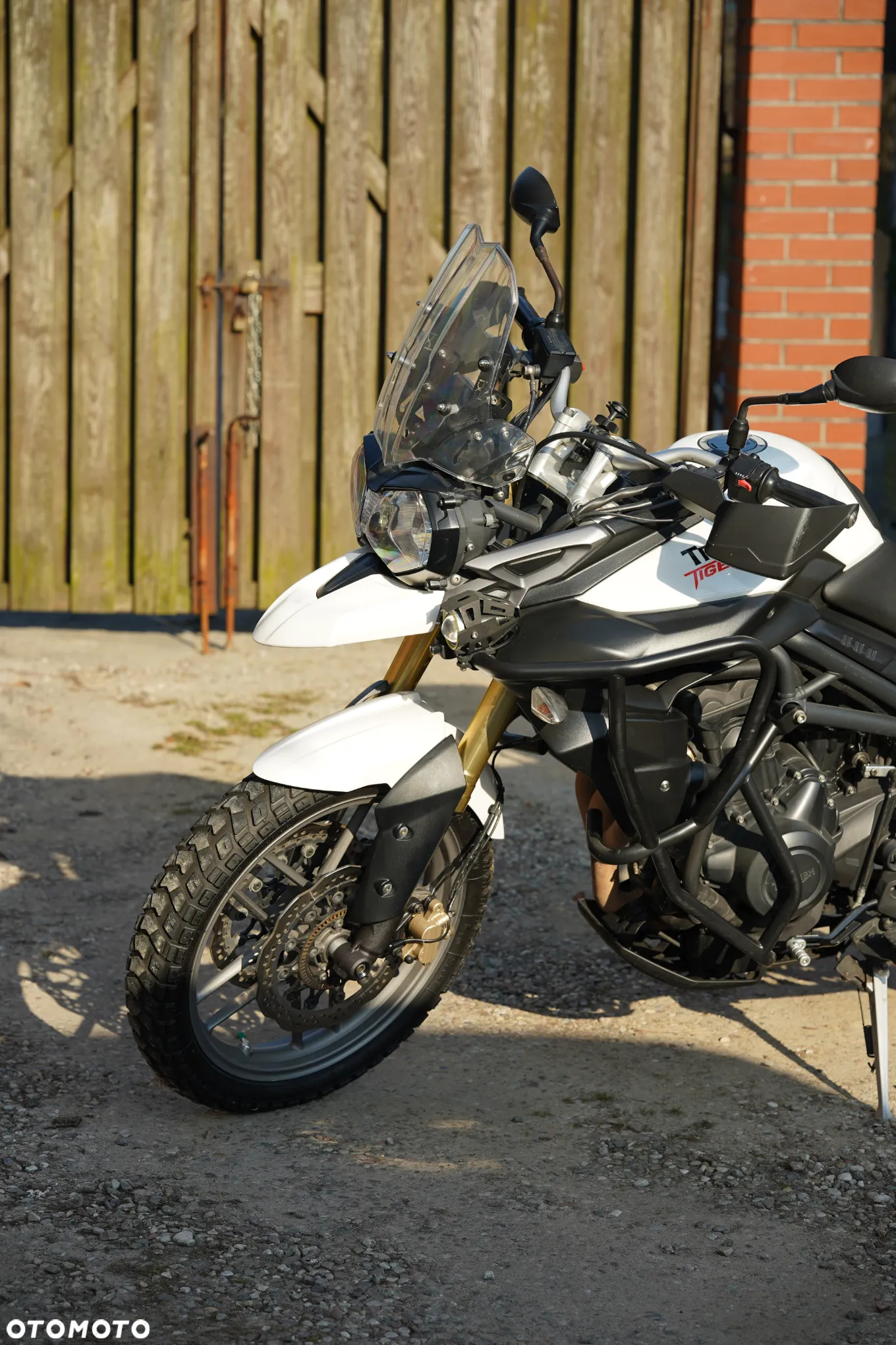 Triumph Tiger