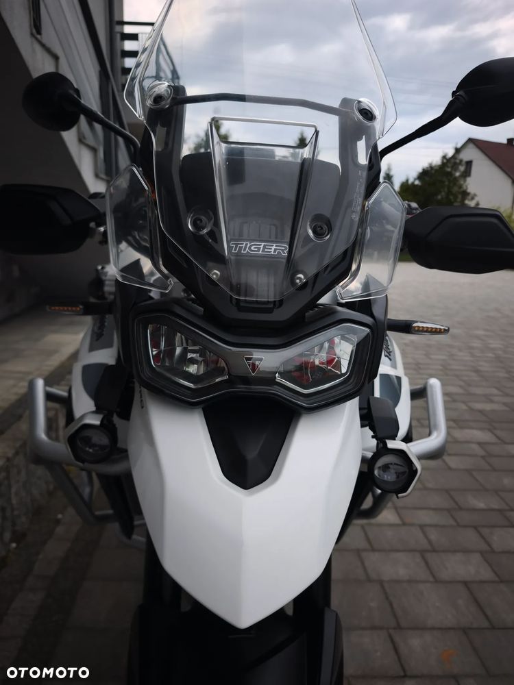 Triumph Tiger - 18