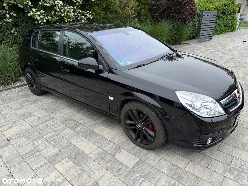 Opel Signum - 14