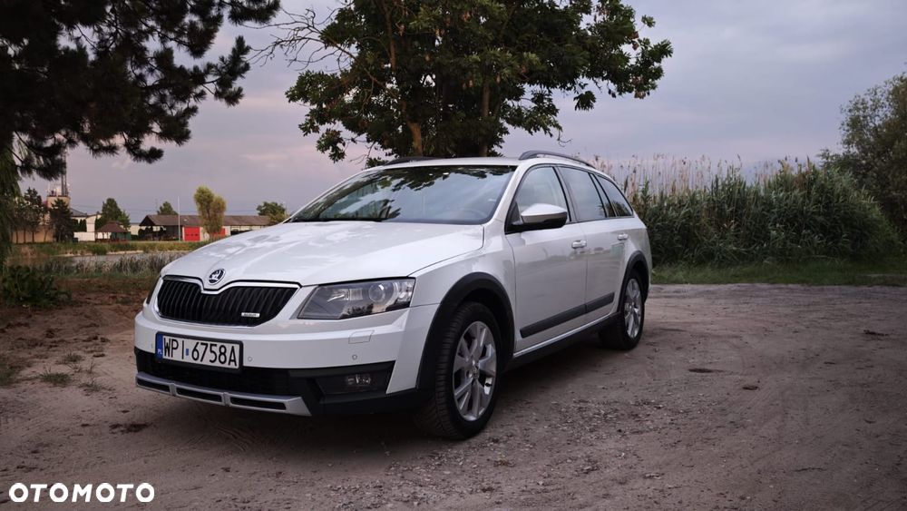 Skoda Octavia Scout 2.0 TDI 4x4 - 3