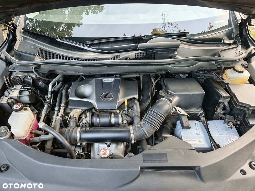Lexus RX 200t / 300 Elegance - 19