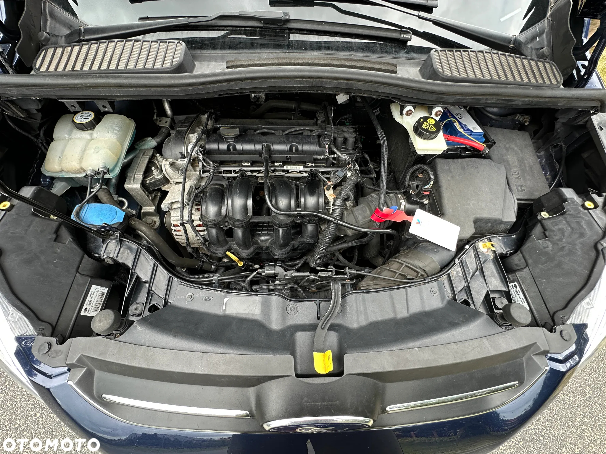 Ford C-MAX 1.6 Ambiente - 31