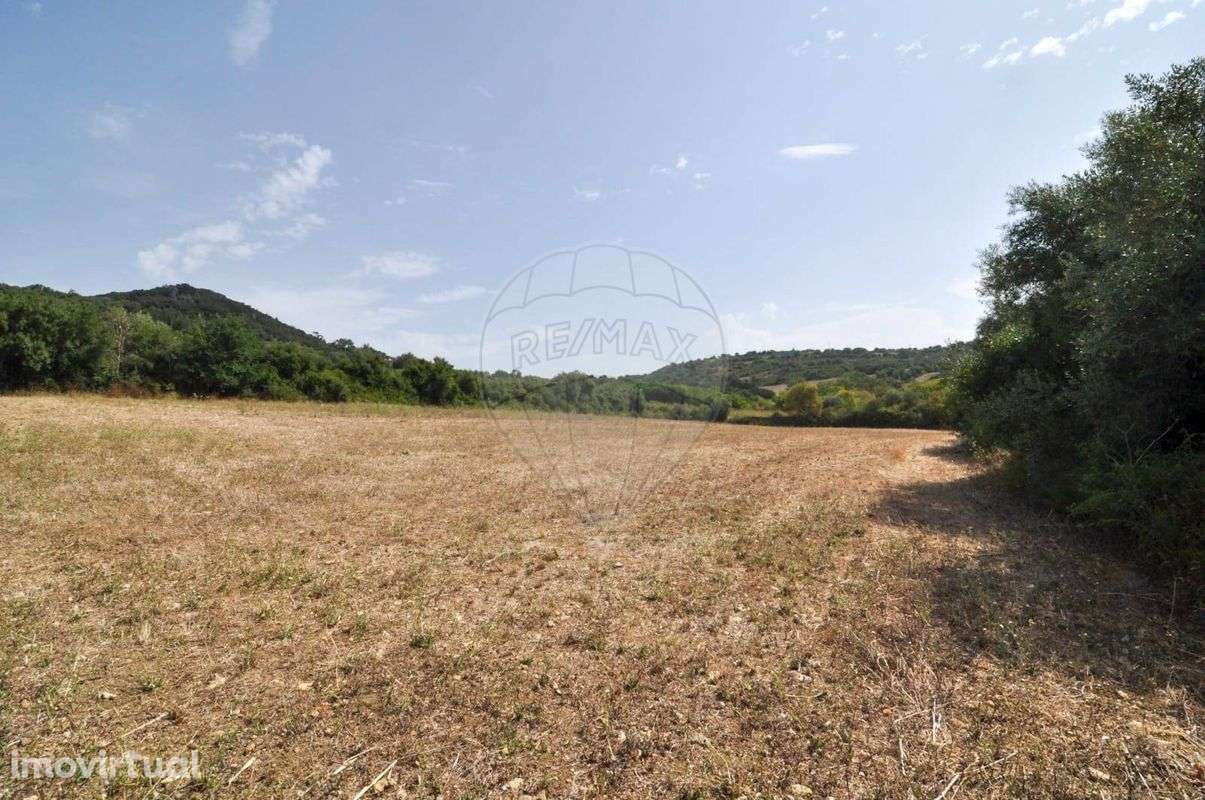 Terreno  para venda - Grande imagem: 3/6