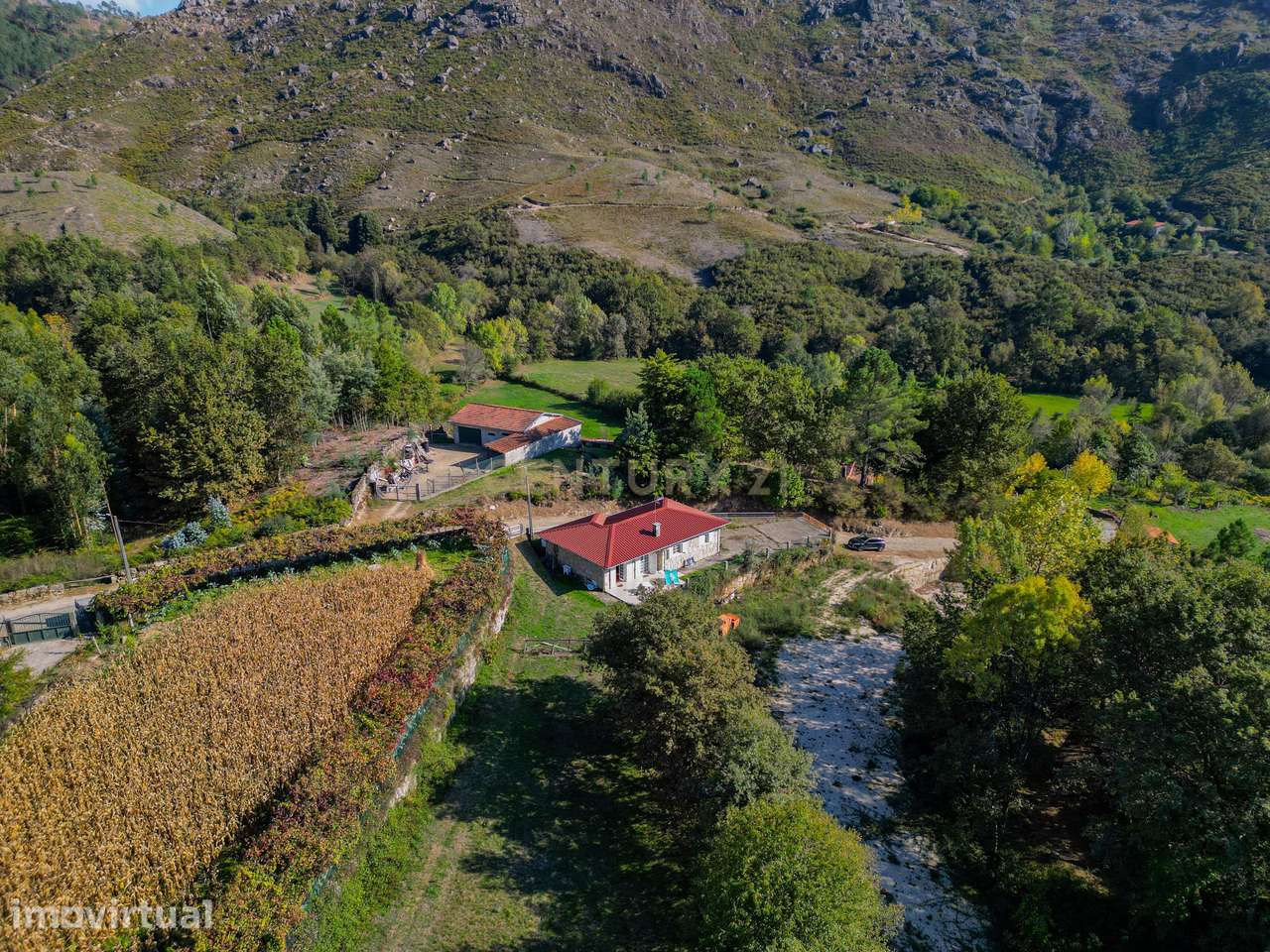 Casa Térrea na zona do Gerês / Braga –7.000 m² de terreno Plano - Grande imagem: 3/39