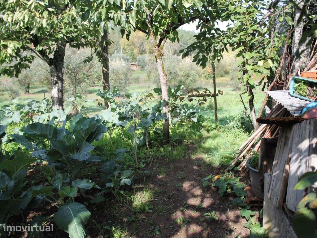 Terreno rústico na zona da Vila de Arganil com uma localização de e... - Grande imagem: 5/12