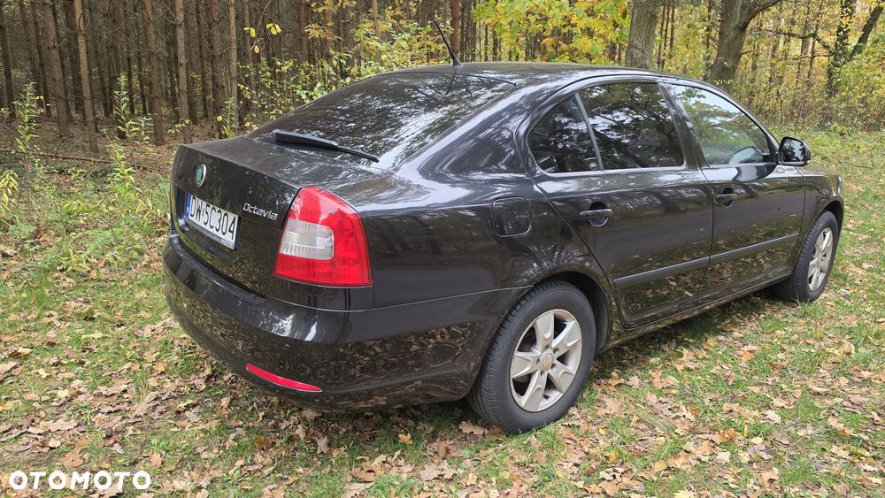Skoda Octavia - 14