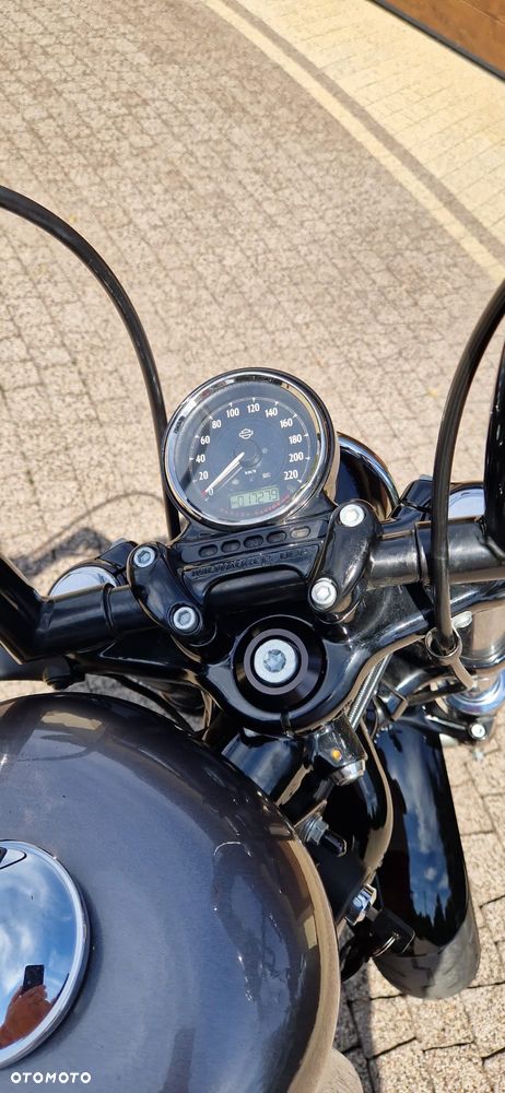 Harley-Davidson Evolution Sportster - 8