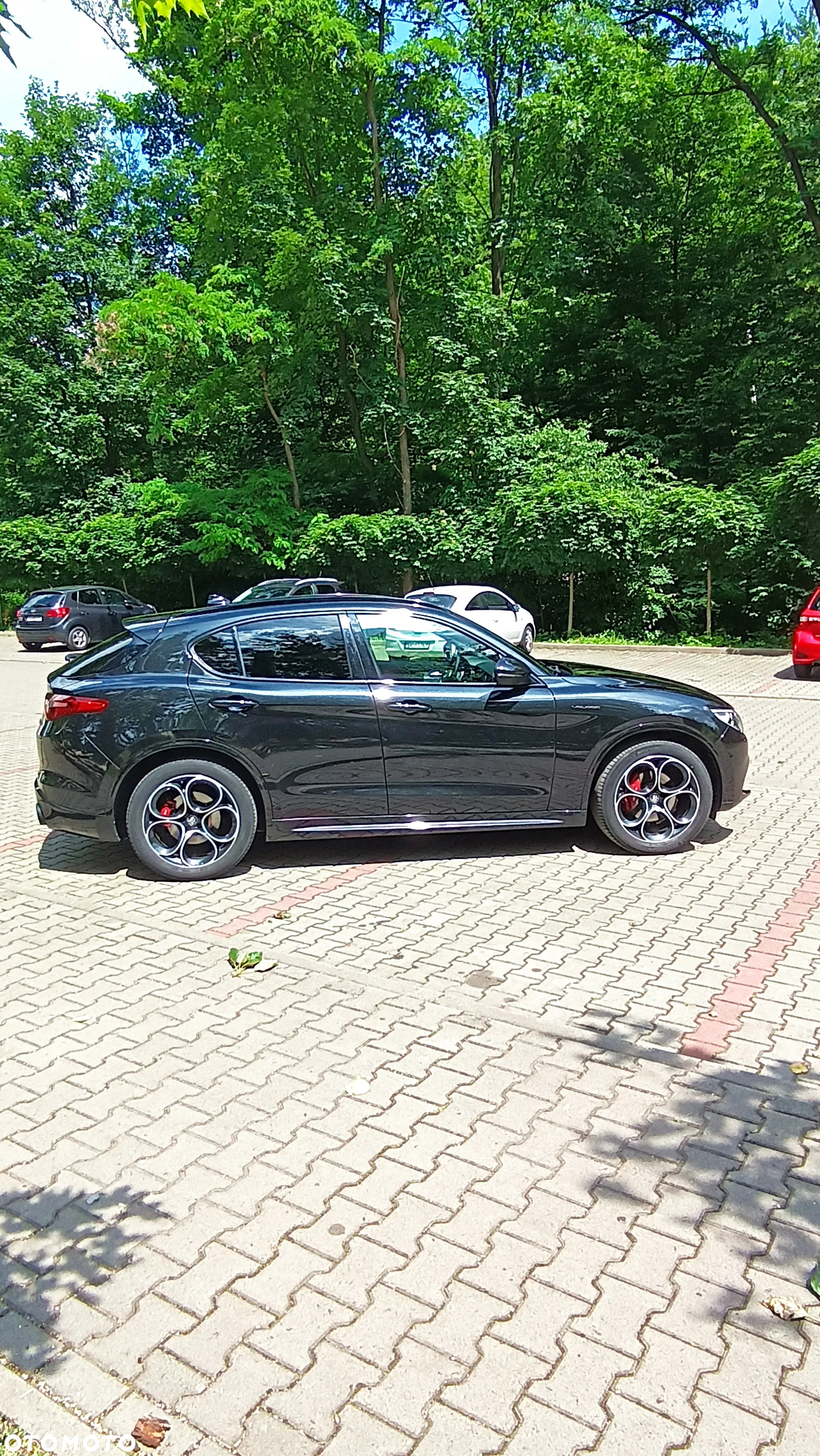 Alfa Romeo Stelvio 2.0 Turbo Veloce Q4 - 10