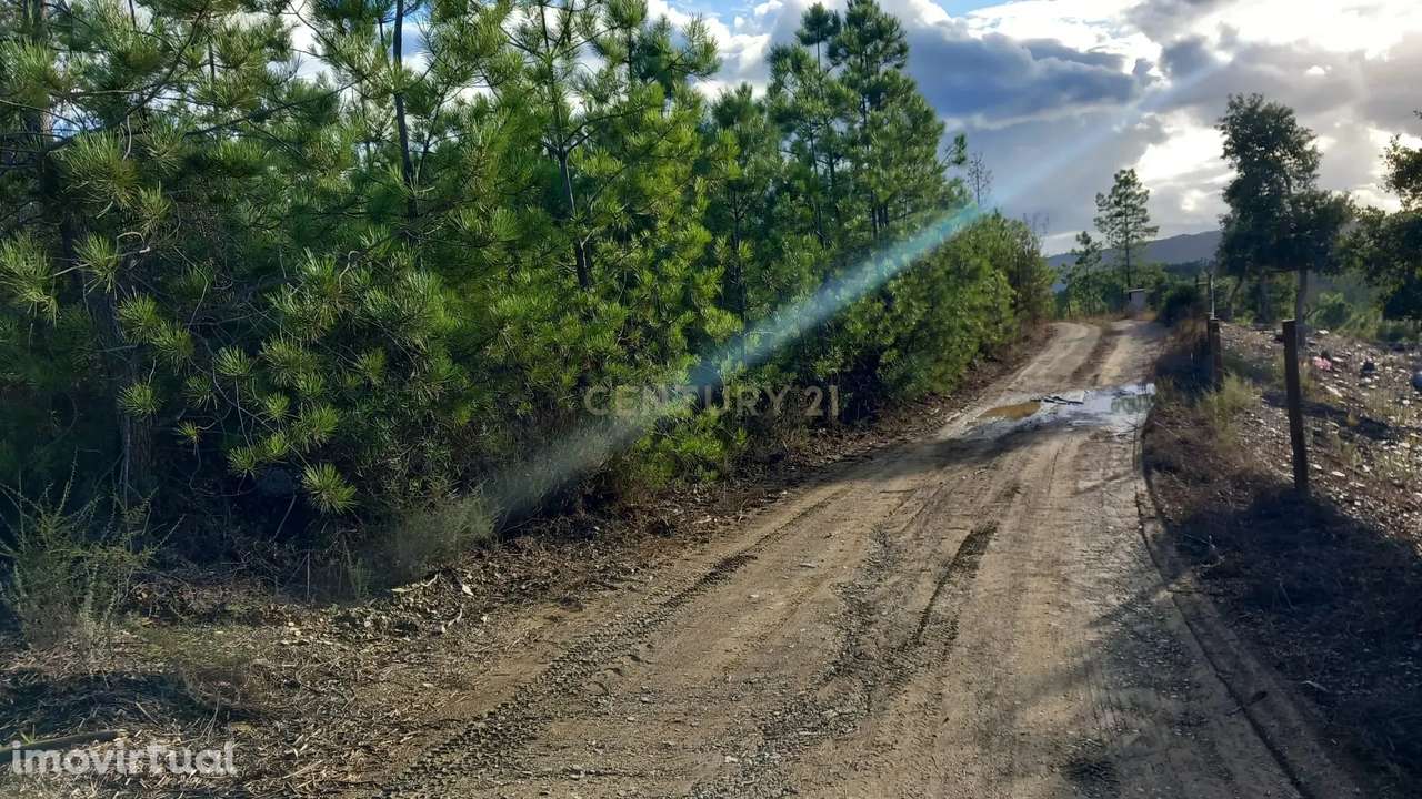 Terreno Rustico Atalaia-Sarnadas de Rodão - Grande imagem: 3/23