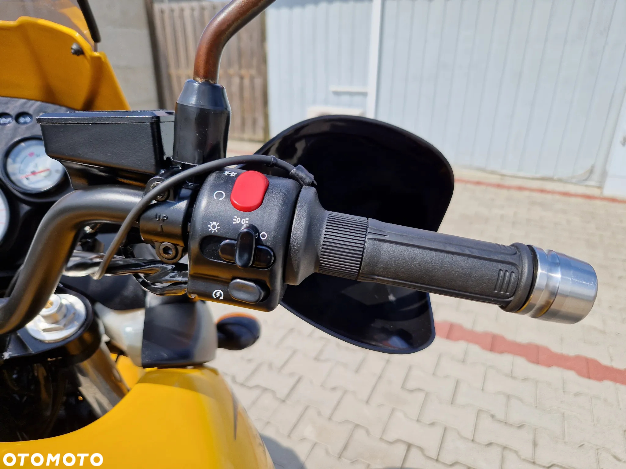 Triumph Tiger - 39